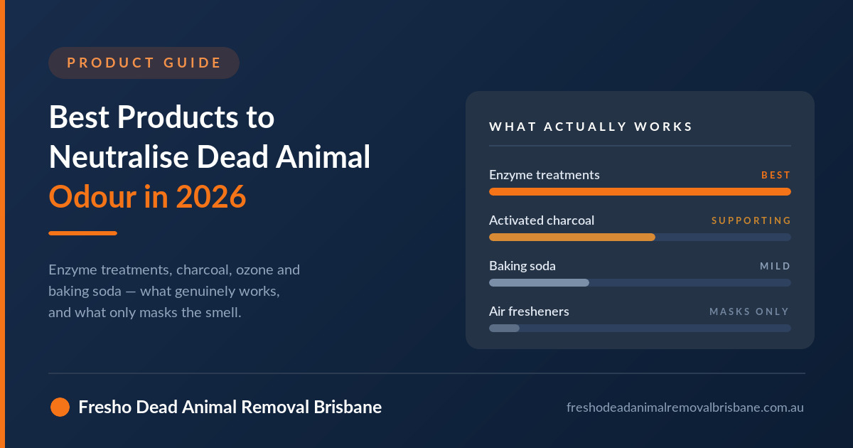 Best Products to Neutralise Dead Animal Odour in 2026