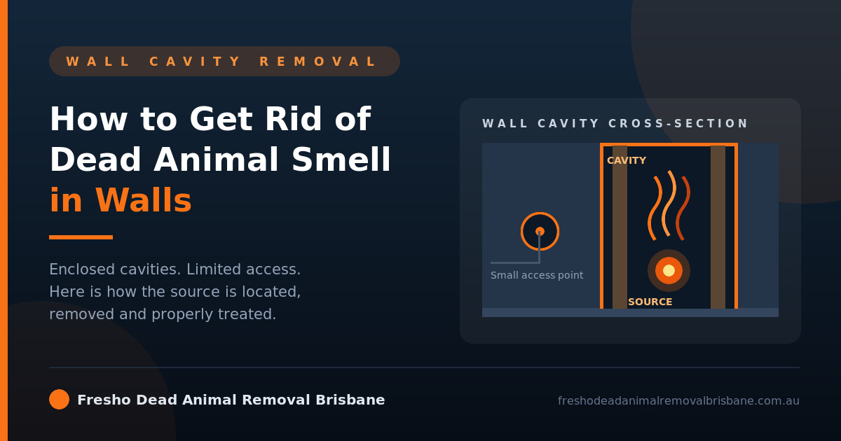 How to Get Rid of Dead Animal Smell in Walls